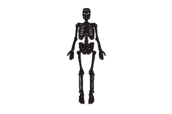 Vintage Anatomical Skeleton: An Embroidery Designer's Take